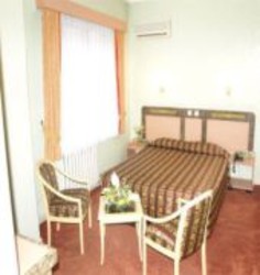 Imagen de la habitación del Hotel Horon, Trabzon. Foto 3
