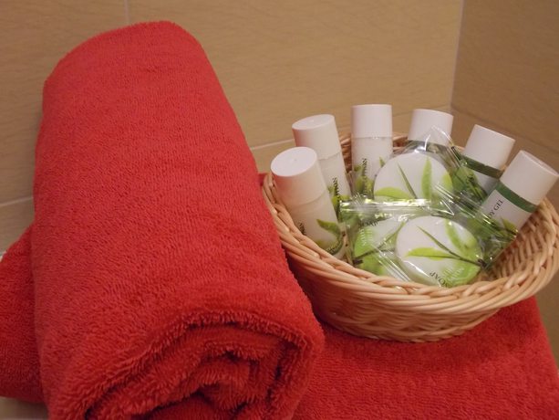 Imagen de la habitación del Hotel Horsky H&aacute;jenka. Foto 10