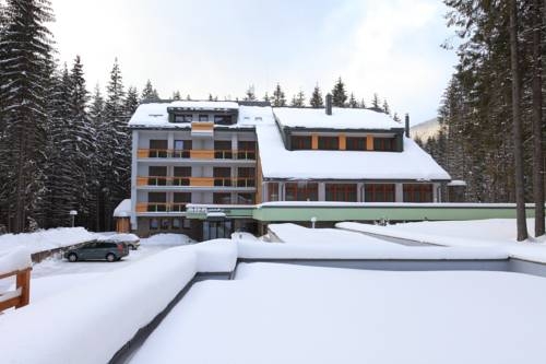 Imagen general del Hotel Horsky Hotel Osobita. Foto 2