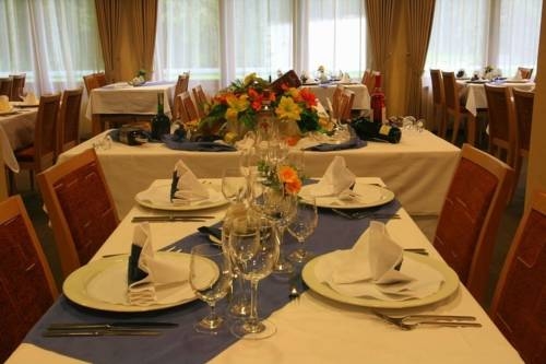 Imagen general del Hotel Horsky Hotel Osobita. Foto 10