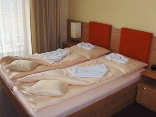 Imagen de la habitación del Hotel Horsky Hotel Osobita. Foto 22