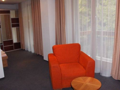 Imagen de la habitación del Hotel Horsky Hotel Osobita. Foto 26