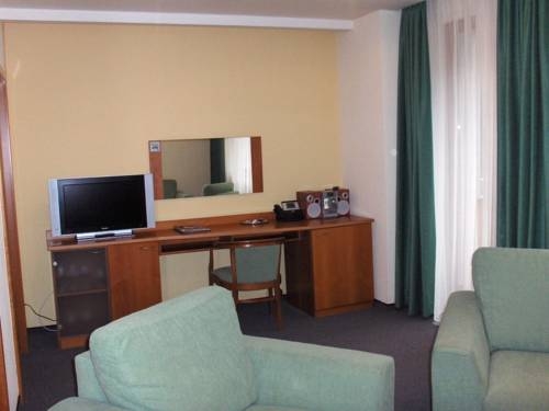 Imagen de la habitación del Hotel Horsky Hotel Osobita. Foto 30