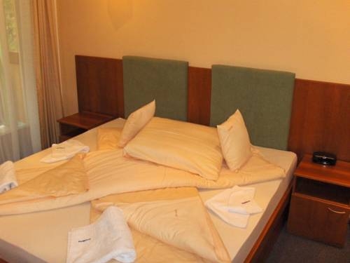 Imagen de la habitación del Hotel Horsky Hotel Osobita. Foto 31