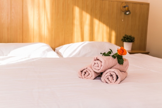 Imagen de la habitación del Hotel Horsky Mnich. Foto 4