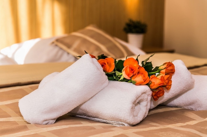 Imagen de los interiores del Hotel Horsky Mnich. Foto 16