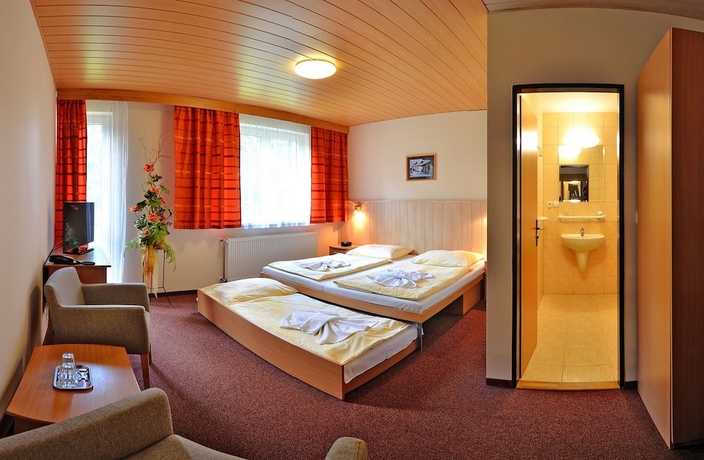 Imagen de la habitación del Hotel Horsky Mnich. Foto 9