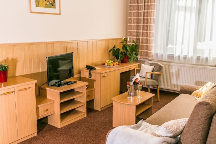 Imagen de la habitación del Hotel Horsky Mnich. Foto 10