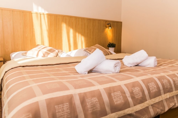 Imagen de la habitación del Hotel Horsky Mnich. Foto 11