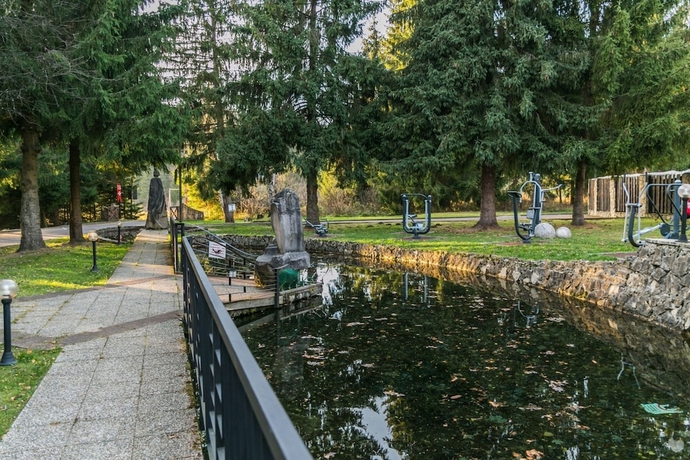 Imagen de la habitación del Hotel Horsky Mnich. Foto 12