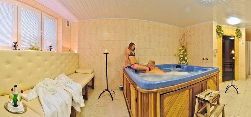 Imagen de la piscina del Hotel Horsky Mnich. Foto 17