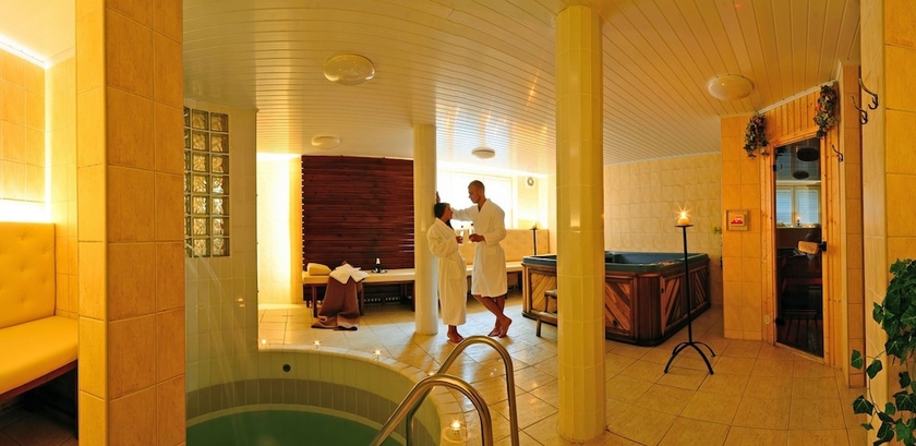 Imagen de la piscina del Hotel Horsky Mnich. Foto 18