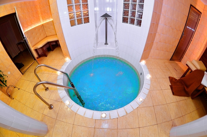 Imagen de la piscina del Hotel Horsky Mnich. Foto 19