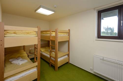 Imagen de la habitación del Hotel Horsk&yacute; Friesovy Boudy. Foto 9