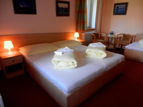 Imagen general del Hotel Horský Jelínek. Foto 1