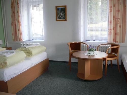 Imagen general del Hotel Horsk&yacute; Jel&iacute;nek. Foto 2