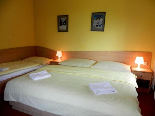 Imagen de la habitación del Hotel Horsk&yacute; Jel&iacute;nek. Foto 7