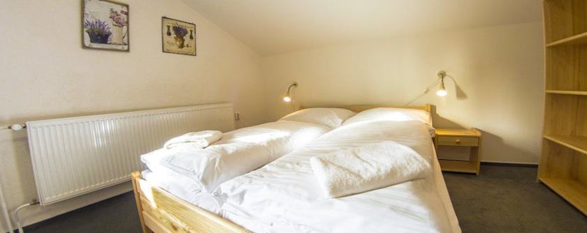 Imagen de la habitación del Hotel Horsk&yacute; Martiň&aacute;k. Foto 7