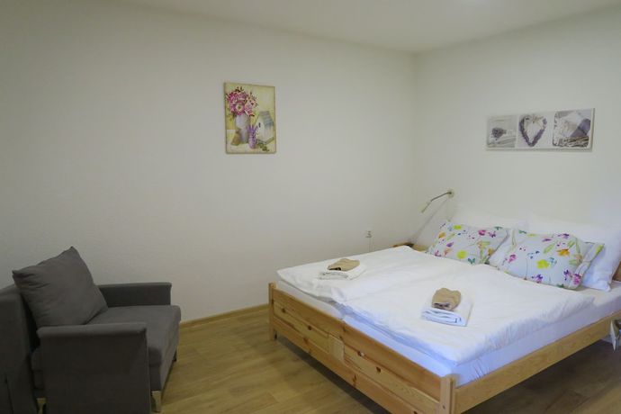 Imagen de la habitación del Hotel Horsk&yacute; Martiň&aacute;k. Foto 9
