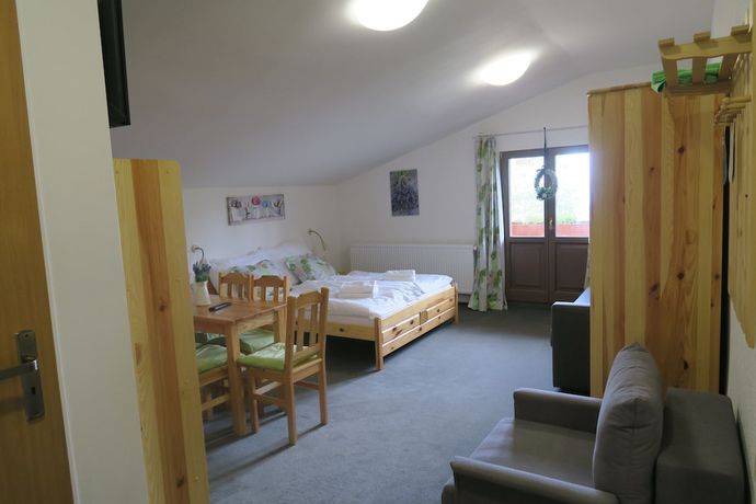 Imagen de la habitación del Hotel Horsk&yacute; Martiň&aacute;k. Foto 11