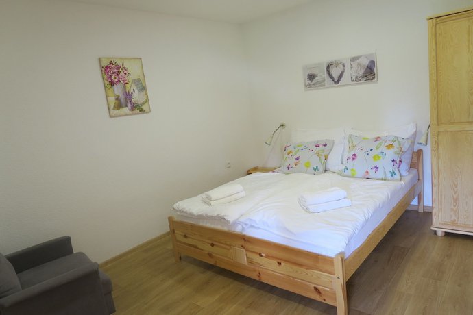 Imagen de la habitación del Hotel Horsk&yacute; Martiň&aacute;k. Foto 15
