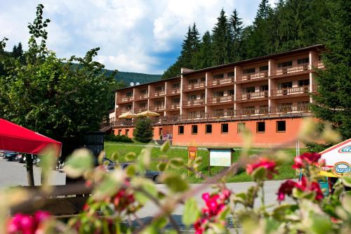 Imagen general del Hotel Horsk&yacute; Podjavorn&iacute;k. Foto 2