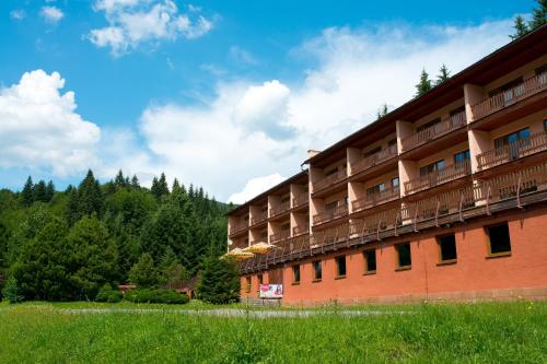 Imagen general del Hotel Horsk&yacute; Podjavorn&iacute;k. Foto 4