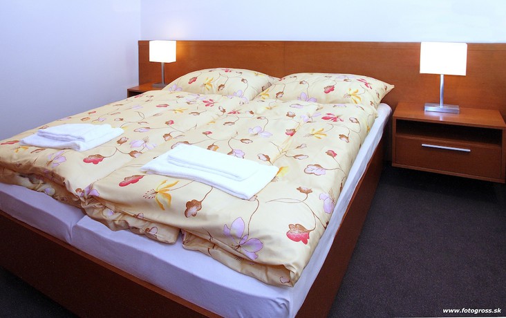 Imagen de la habitación del Hotel Horsk&yacute; hotel Remata. Foto 12