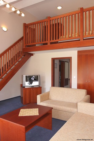 Imagen de la habitación del Hotel Horsk&yacute; hotel Remata. Foto 15
