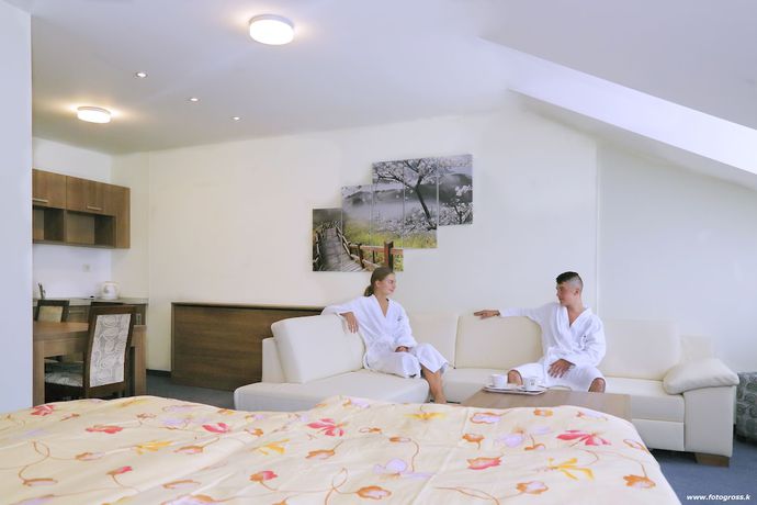 Imagen de la habitación del Hotel Horsk&yacute; hotel Remata. Foto 16