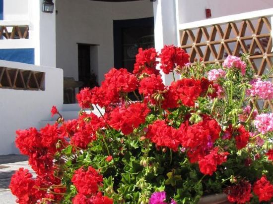 Imagen de los exteriores del Hotel Horta Da Moura. Foto 8