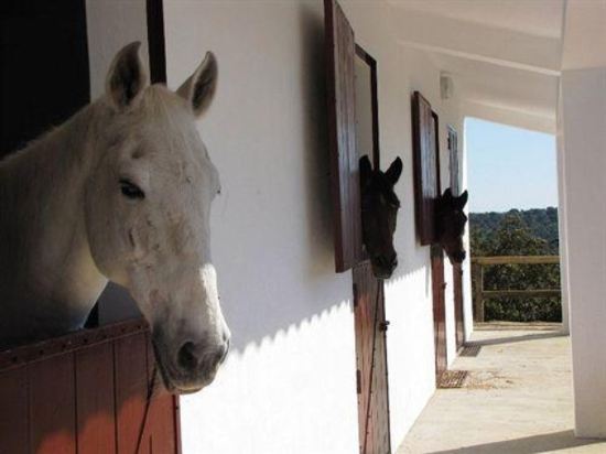 Imagen general del Hotel Horta Da Moura. Foto 3