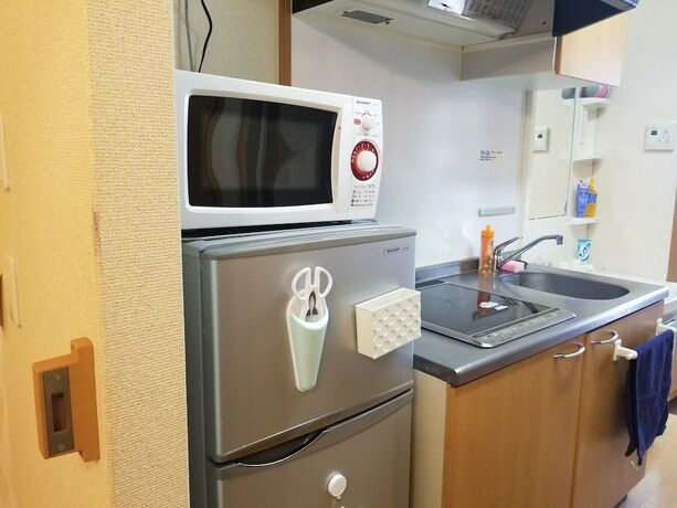 Imagen de la habitación del Hotel Hosei Apartment 101. Foto 29