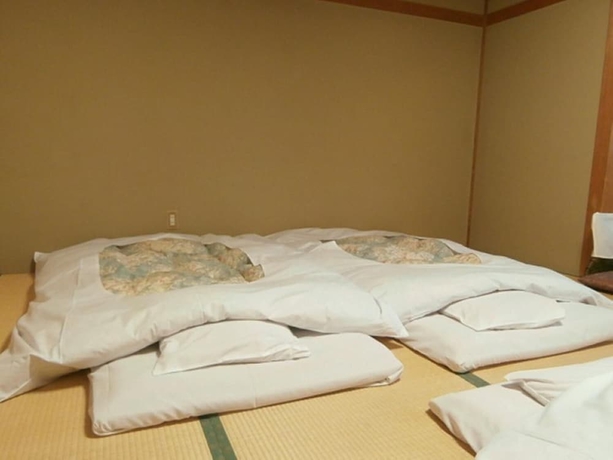 Imagen de la habitación del Hotel Hoshikawakan. Foto 6