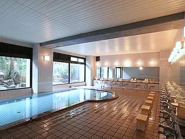 Imagen de la piscina del Hotel Hoshikawakan. Foto 17