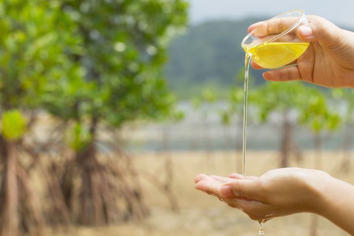 Imagen de la piscina del Hotel Hoshino Resorts Iriomote. Foto 17