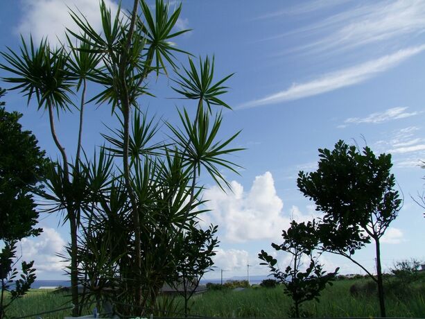 Imagen general del Hotel Hoshisunaso. Foto 4