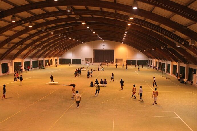 Imagen general del Hotel Hoshisunaso. Foto 5