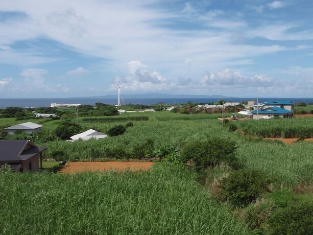 Imagen general del Hotel Hoshisunaso. Foto 15