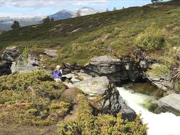 Imagen general del Hotel H&oslash;vringen H&oslash;gfjellshotell. Foto 7