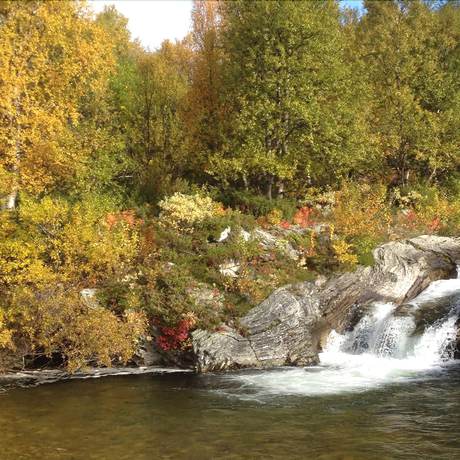 Imagen general del Hotel H&oslash;vringen H&oslash;gfjellshotell. Foto 8
