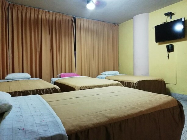 Imagen de la habitación del Hotel Hospedaje Oasis. Foto 23