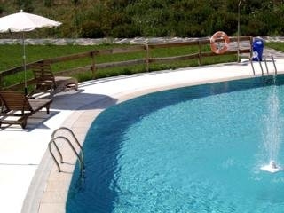 Imagen de la piscina del Hotel Hospederia Alcantara. Foto 7