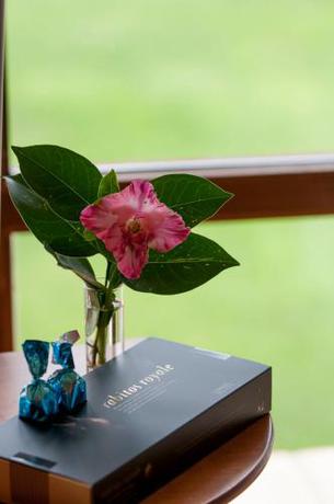 Imagen general del Hotel Hospederia Hurdes Reales. Foto 14