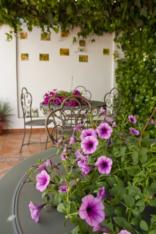 Imagen de los exteriores del Hotel Hospedería Casa De La Campana. Foto 17