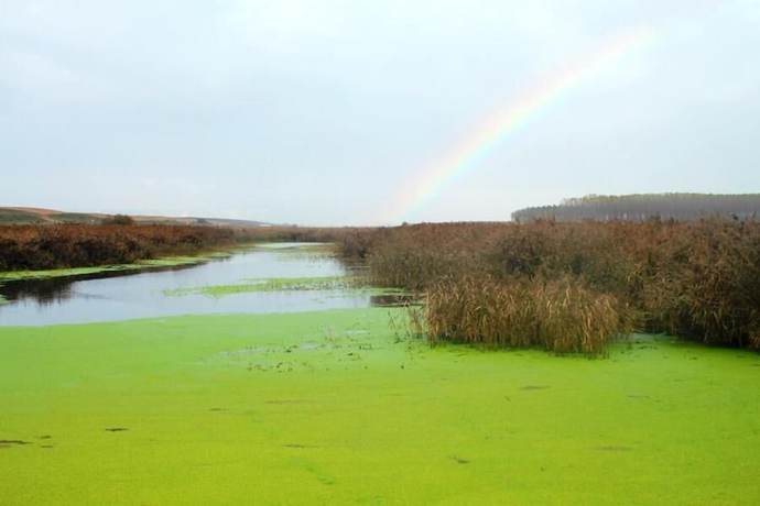 Imagen general del Hotel Hospedería de Alesves. Foto 2