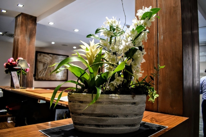 Imagen de los interiores del Hotel Hospedium Casino Del Tormes. Foto 13