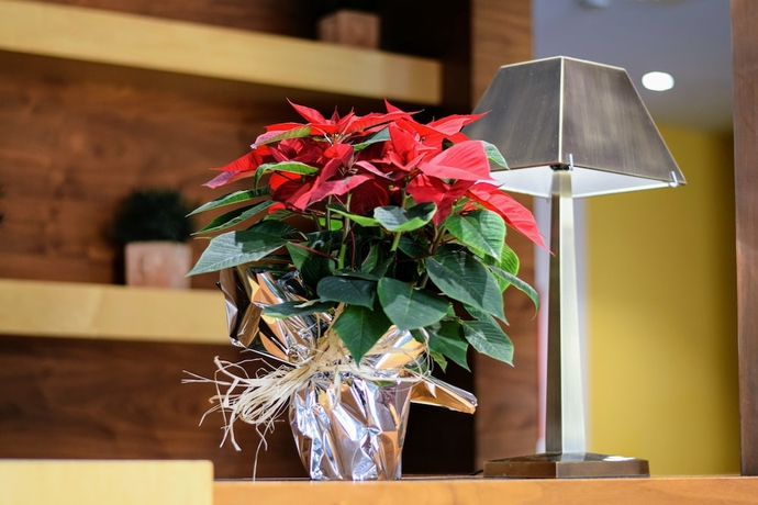 Imagen de los interiores del Hotel Hospedium Casino Del Tormes. Foto 19