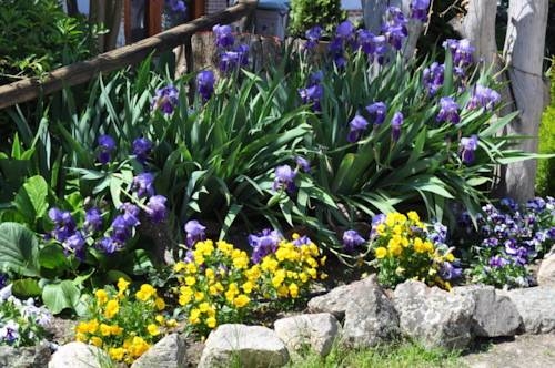 Imagen de los exteriores del Hotel Hospedium Hacienda Las Cavas. Foto 9