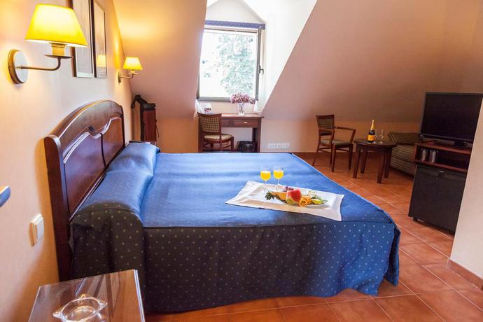 Imagen de la habitación del Hotel Hospedium Los Lanceros. Foto 13